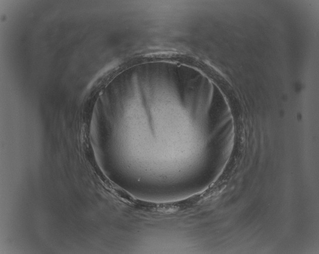 X0000070831351200606230936