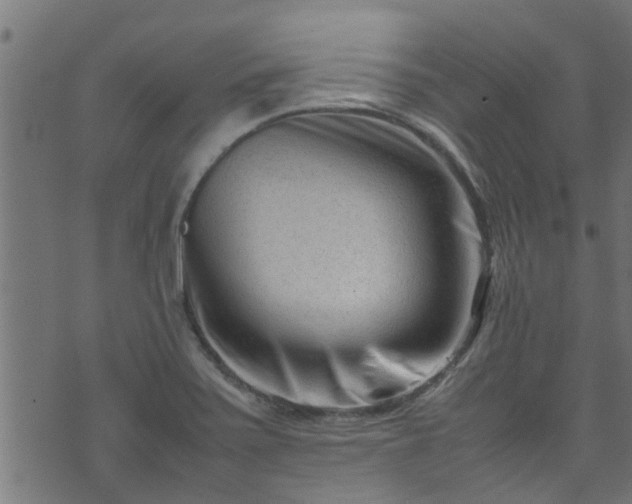 X0000070831371200606230936