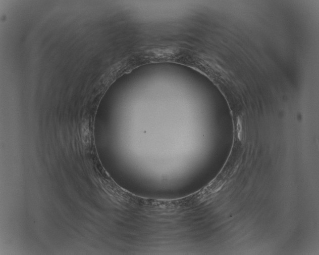 X0000070831395200606230935