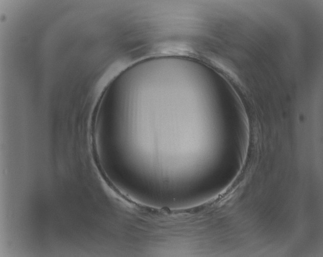 X0000070831471200606230934