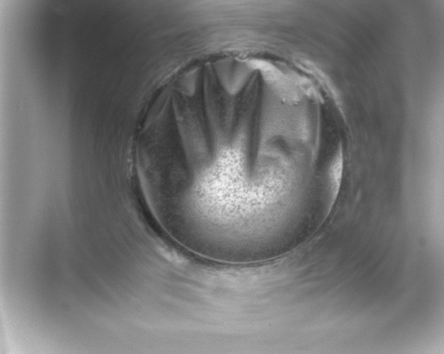 X0000070830017200606301940