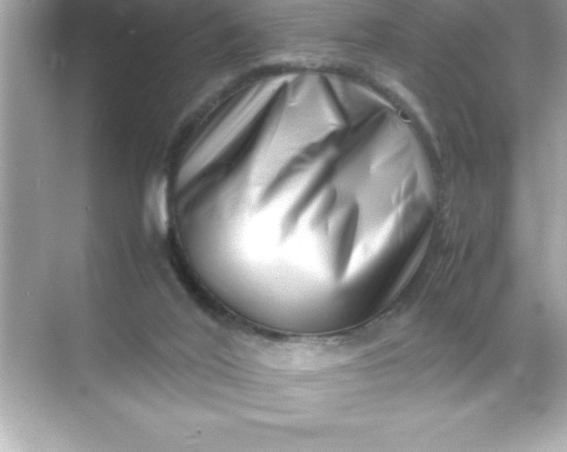 X0000070830020200606301940