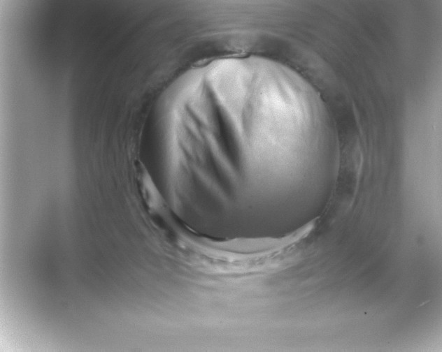 X0000070830031200606301940