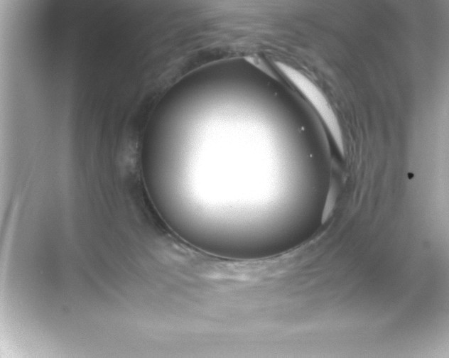 X0000070830033200606301940