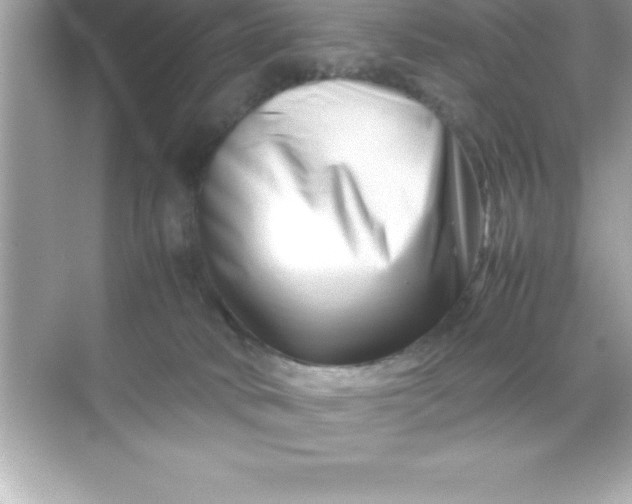 X0000070830034200606301940