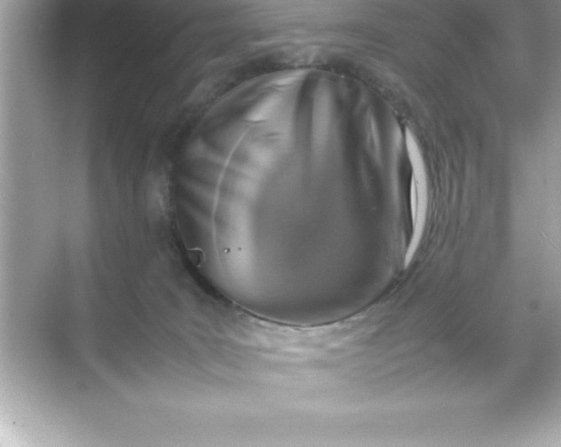 X0000070830035200606301940