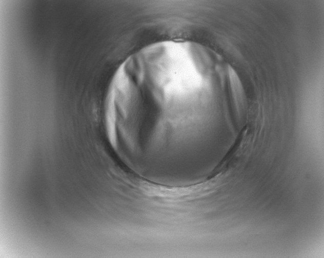 X0000070830039200606301939