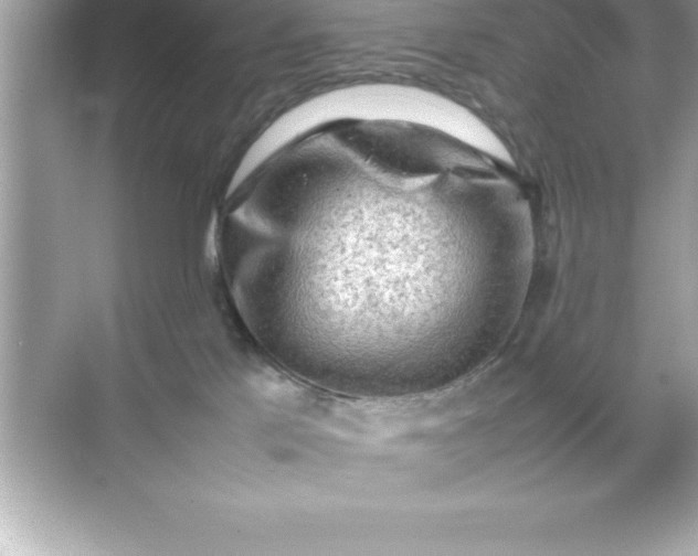 X0000070830041200606301939