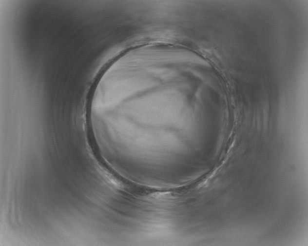 X0000070830054200606301939