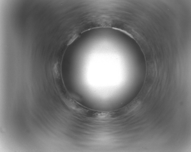 X0000070830088200606301939