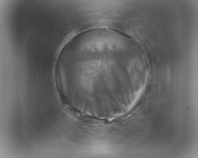 X0000070830099200606301938