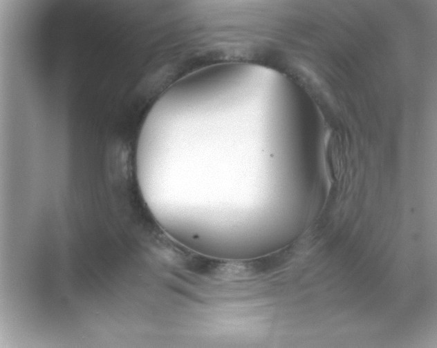 X0000070830123200606301938