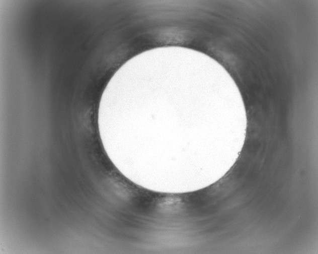 X0000070830162200606301937