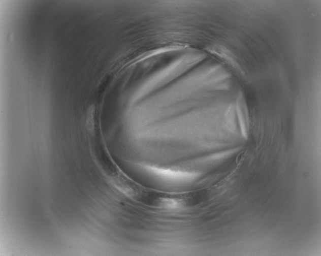 X0000070830167200606301937