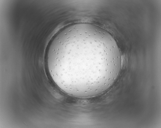X0000070830195200606301937