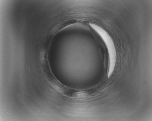 X0000070830219200606301936