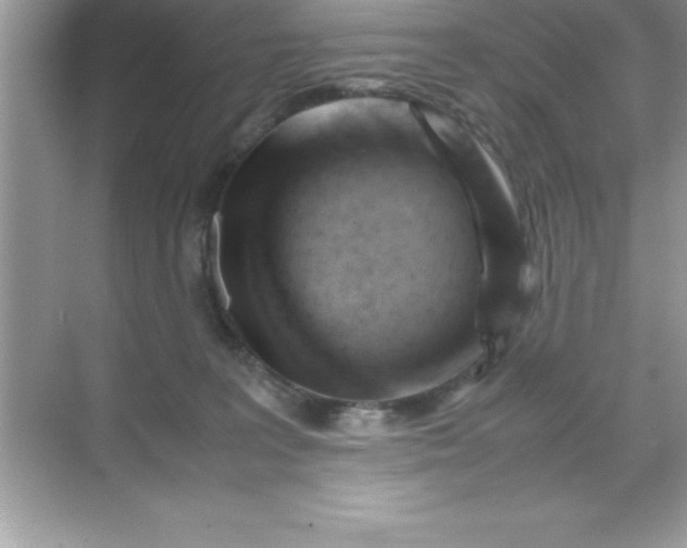 X0000070830227200606301936