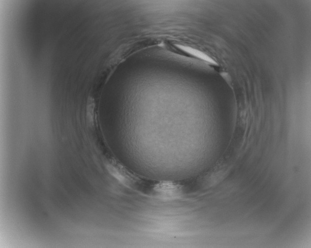 X0000070830231200606301936