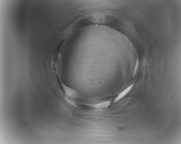 X0000070830233200606301936