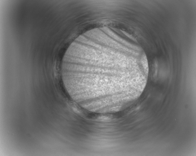 X0000070830236200606301936