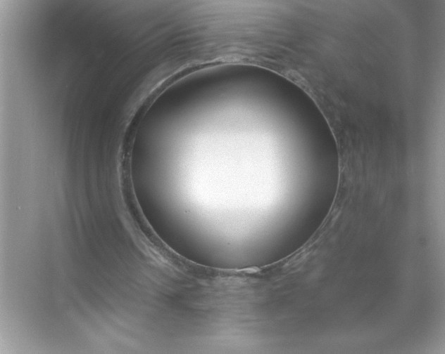 X0000070830242200606301935