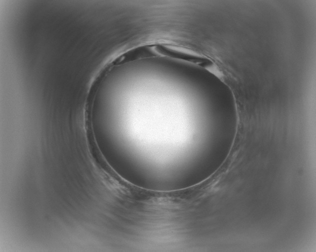 X0000070830244200606301935