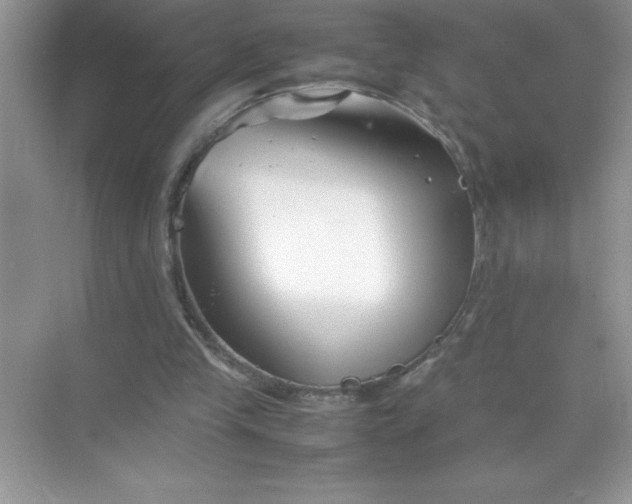 X0000070830245200606301935