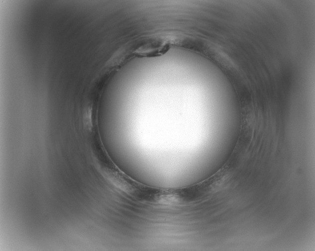 X0000070830262200606301936