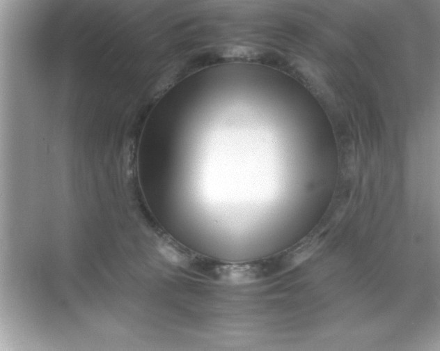 X0000070830273200606301936
