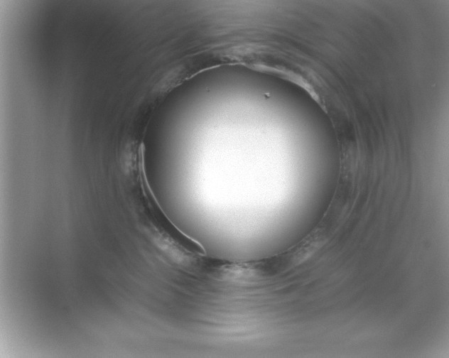 X0000070830284200606301936