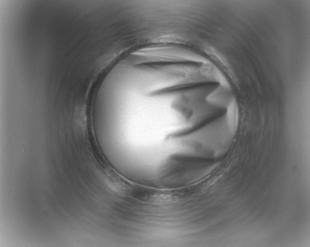 X0000070830298200606301935