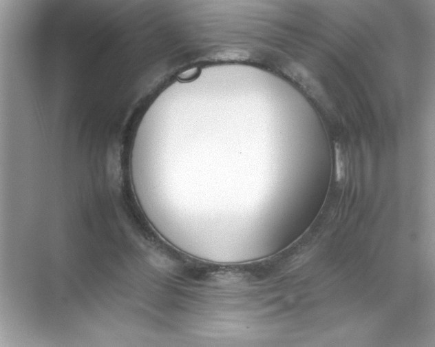 X0000070830300200606301935