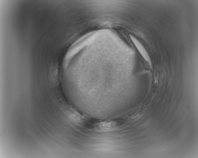 X0000070830314200606301935