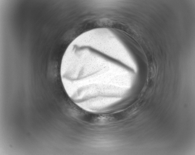 X0000070830323200606301935