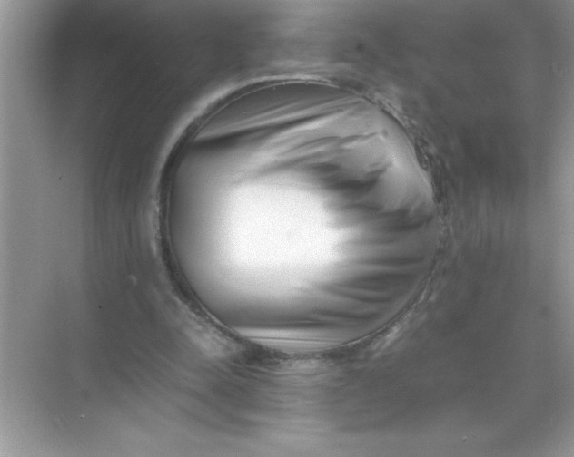 X0000070830342200606301934