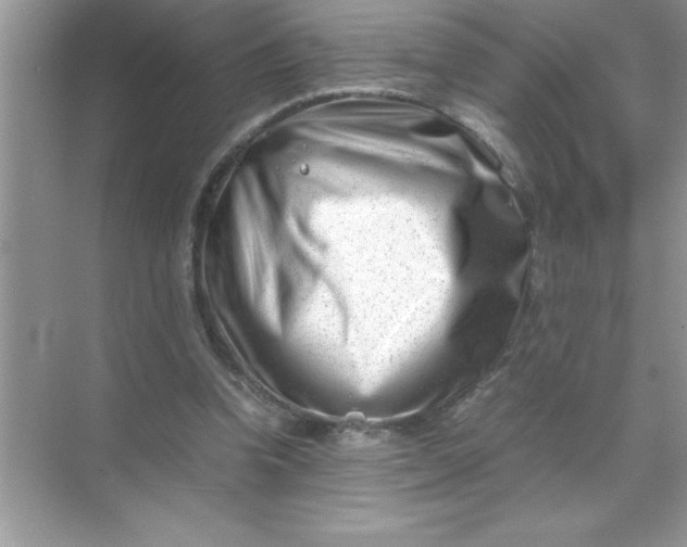 X0000070830346200606301934