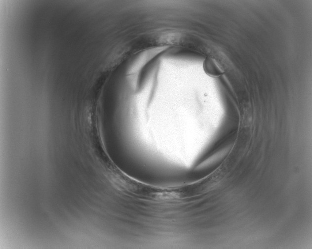 X0000070830363200606301934