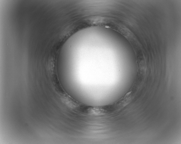 X0000070830372200606301934