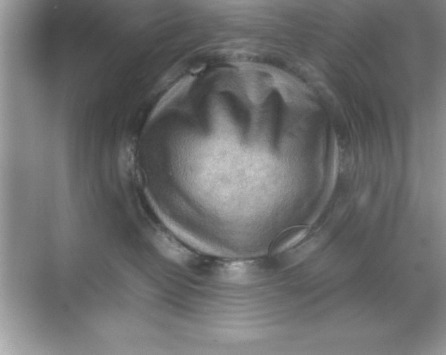 X0000070830382200606301934