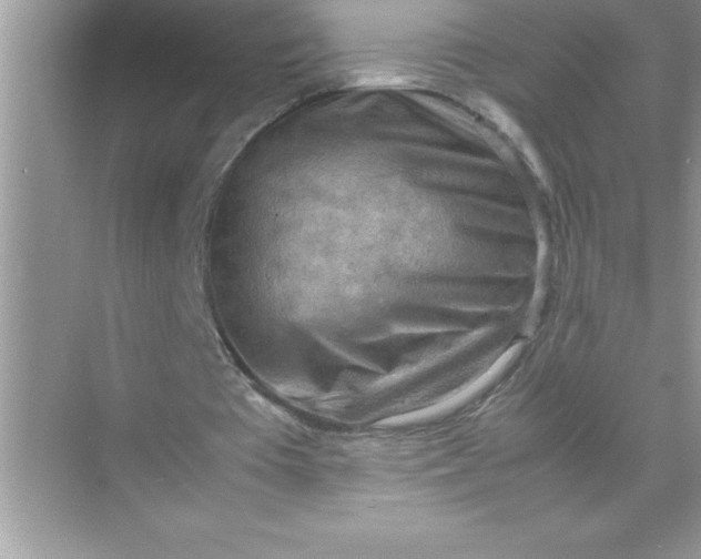 X0000070830385200606301934