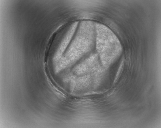 X0000070830386200606301934