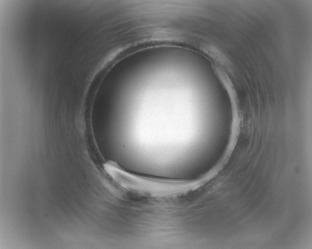 X0000070830436200606301932