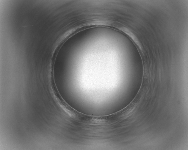 X0000070830437200606301932