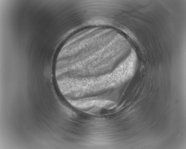 X0000070830438200606301932