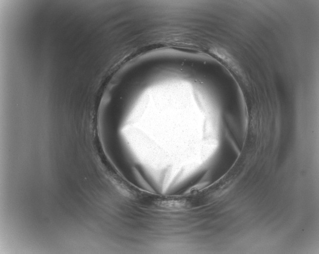 X0000070830449200606301932
