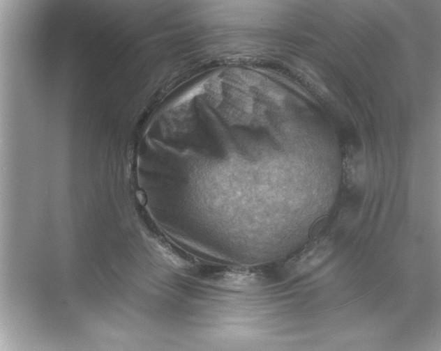 X0000070830458200606301933