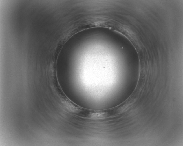 X0000070830461200606301933