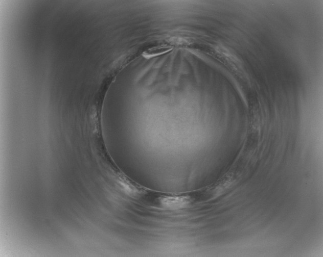 X0000070830465200606301933