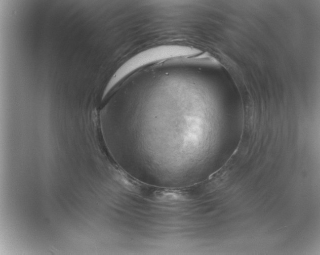 X0000070830475200606301933