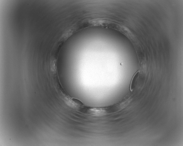 X0000070830477200606301933